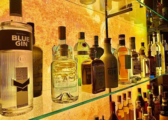 Dormero Deho Hotell Linz