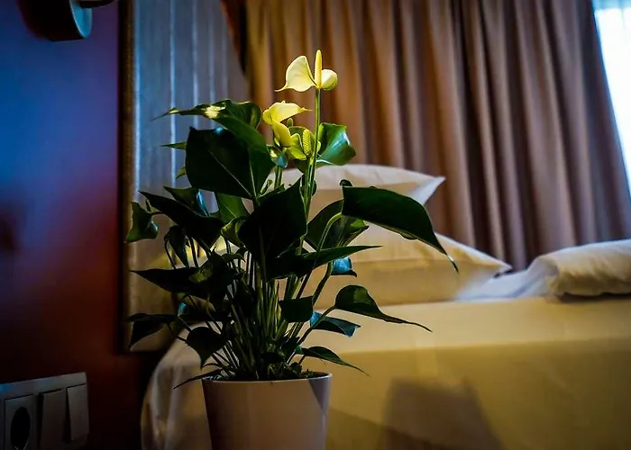 Hotel Dormero Deho Linz